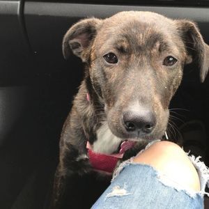 Meet your Posher, Megan